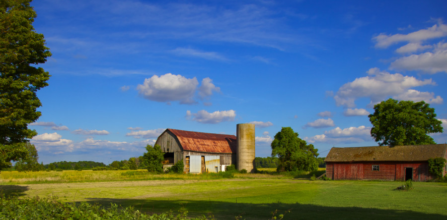 Today May Very Well Be Your Perfect Day