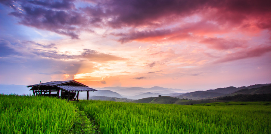 How I Made My Dreams Come True