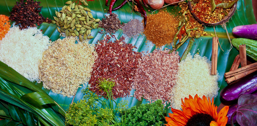 Nourish The Body & Feed The Soul