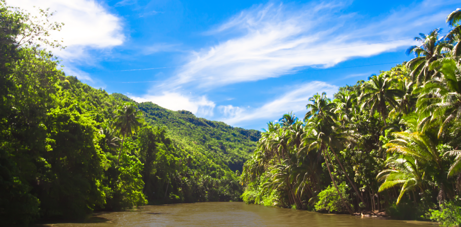 How Adversity Made Me Stronger