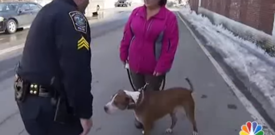 Police Surprise a Community